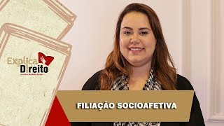 Explica Direito Filiação Socioafetiva  2019 [upl. by Nilsoj]