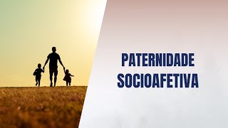 Paternidade socioafetiva [upl. by Dnomder958]