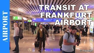 TRANSIT WALK AT FRANKFURT Airport FRA Terminal 1  Connection Flight Transfer Arriving amp Departing [upl. by Ernesta170]